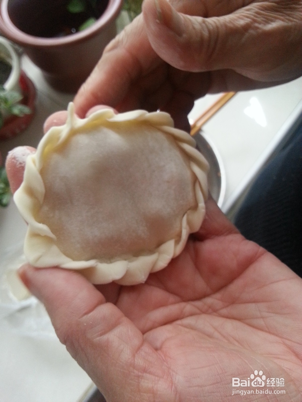 宝宝美食之花样饺子