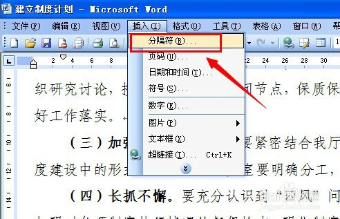 一个word2003文档里如何做到横版竖版页面共存