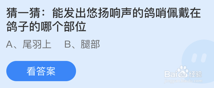 蚂蚁庄园能发出悠扬响声的鸽哨佩戴在鸽子的哪个