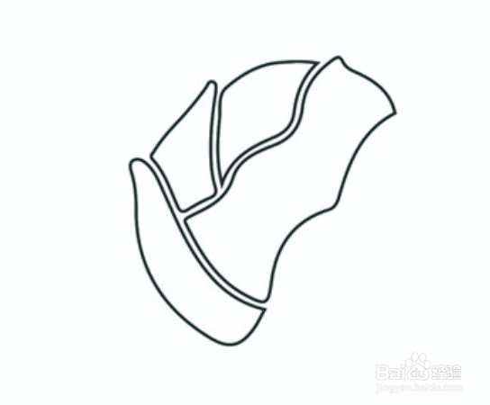 美味可口卷心菜简笔画