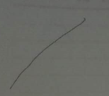 教你画树叶的简笔画