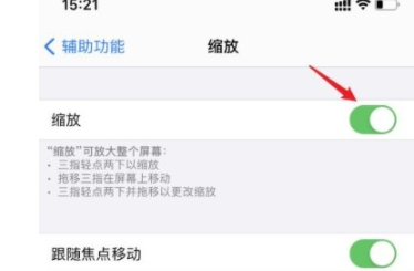 苹果手机如何关闭缩放功能