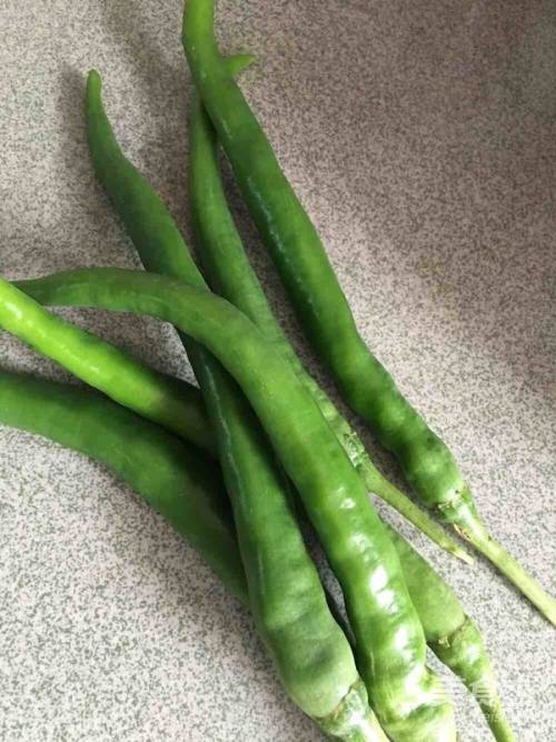 油辣子的家常做法-百度经验