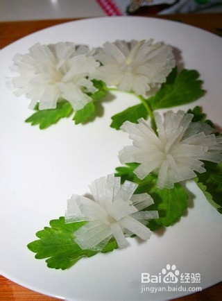 （水晶白玉菊）