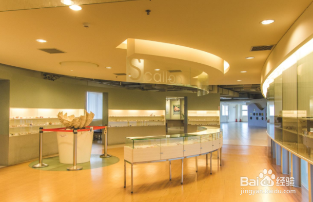 去高雄旅游时,去哪里游玩比较好?