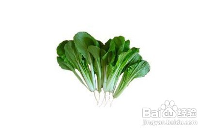 怎样正确选购蔬菜