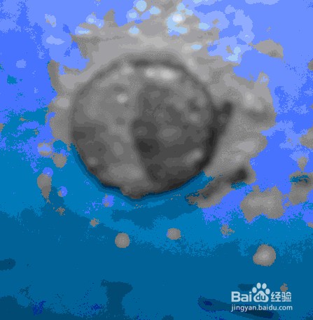 如何清洗刮刀印花机胶车