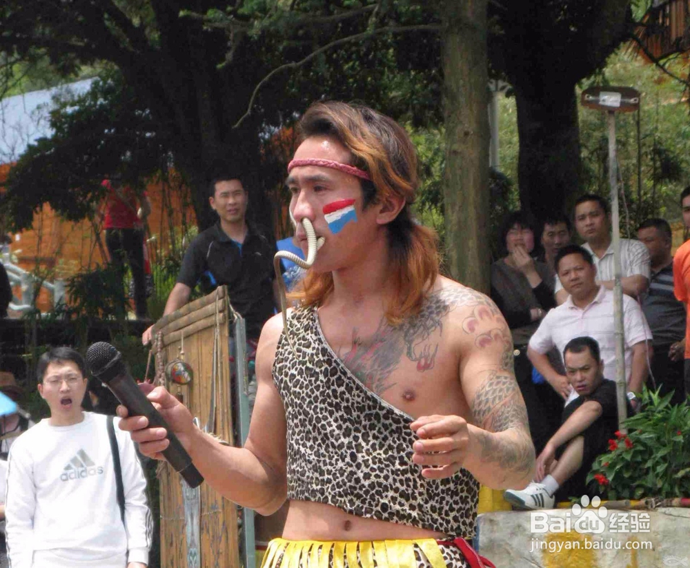 如何游览同安金光湖