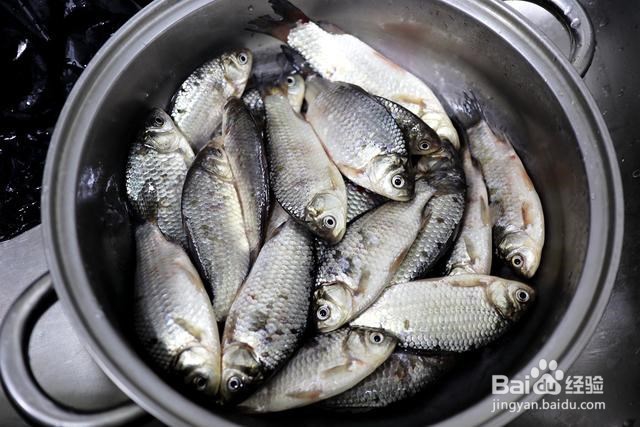 鲜美可口鲫鱼豆腐汤