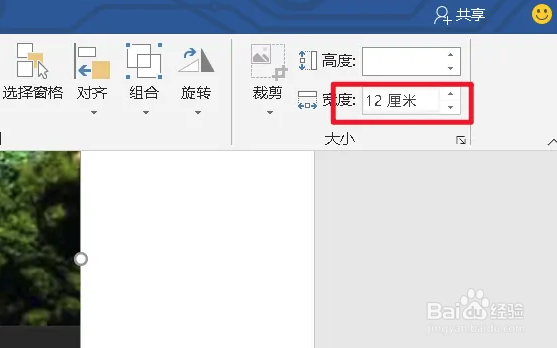 word统一调整图片大小