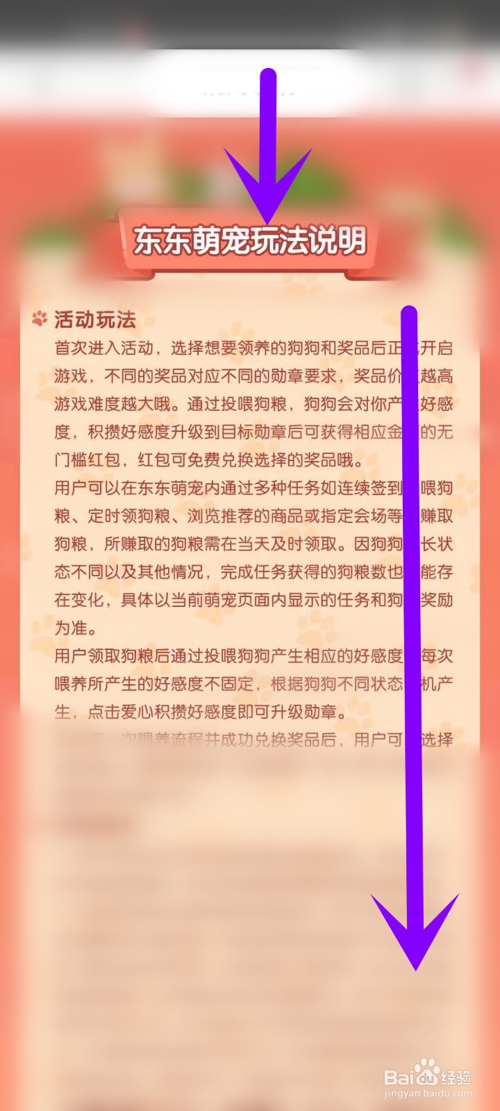 东东萌宠玩法说明内容如何查看