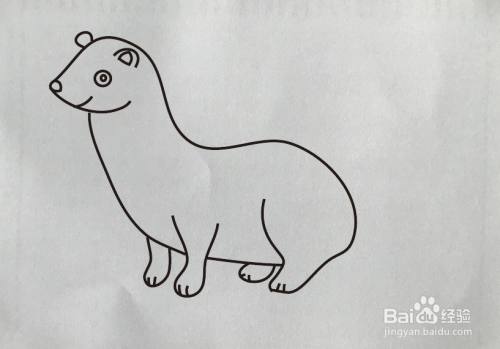 【简笔画】如何画雪貂?