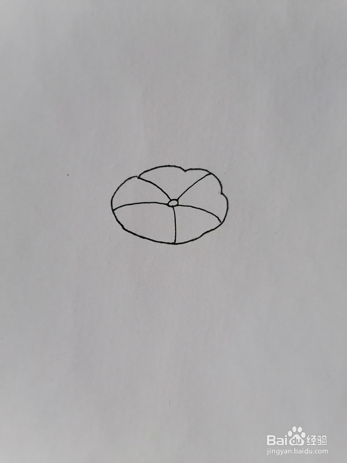 荷花用水彩怎么画