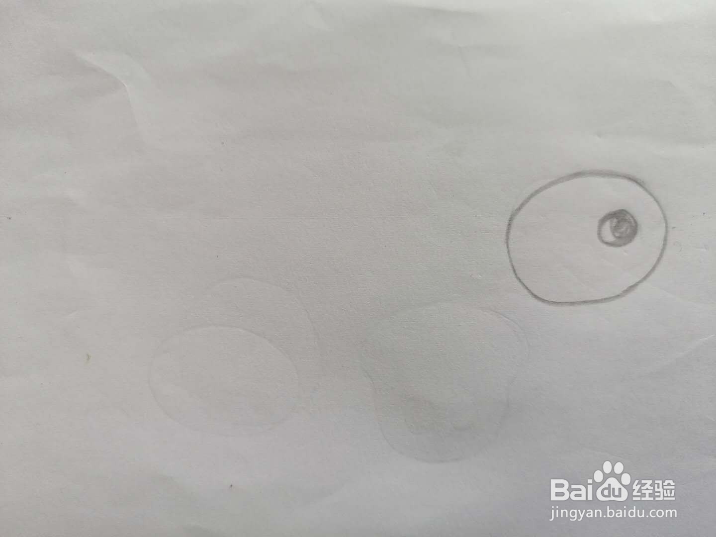 可爱的小兔子怎么画
