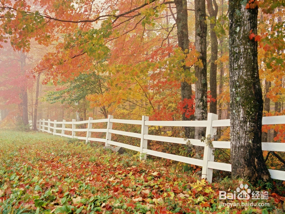 让你在秋天的季节里养大肠几种小窍门