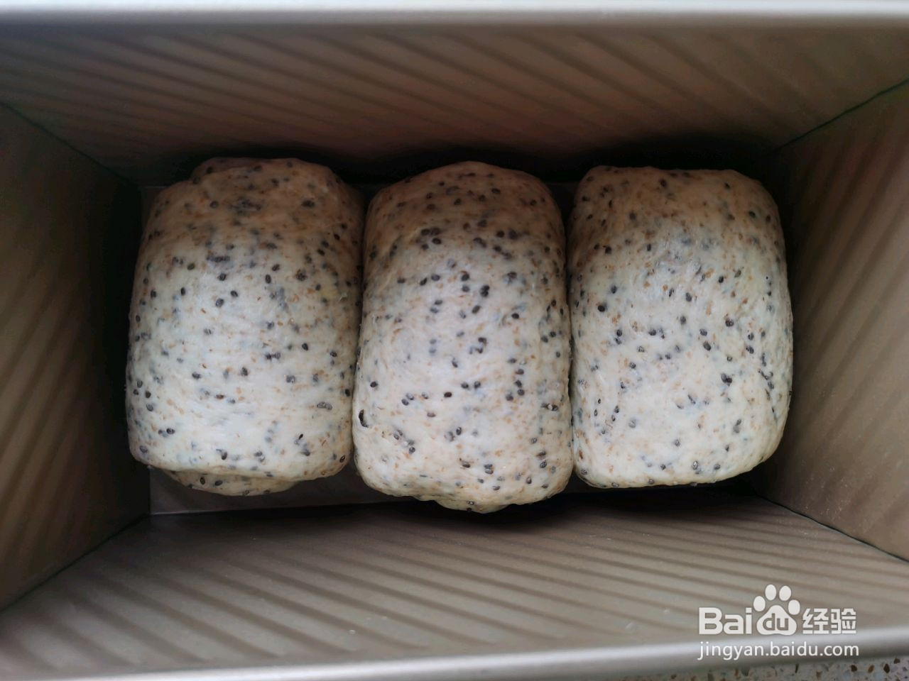 全麦奇亚籽吐司的做法