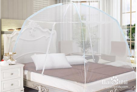 小学生怎样预防登革热病