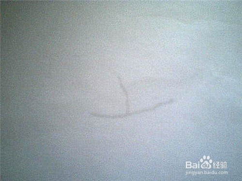 简笔画喇叭花的顶部咋画