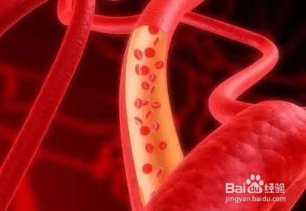 生三七粉和熟三七粉的区别