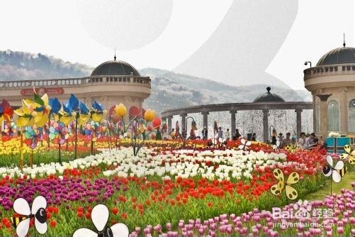 爱宝乐园旅游攻略