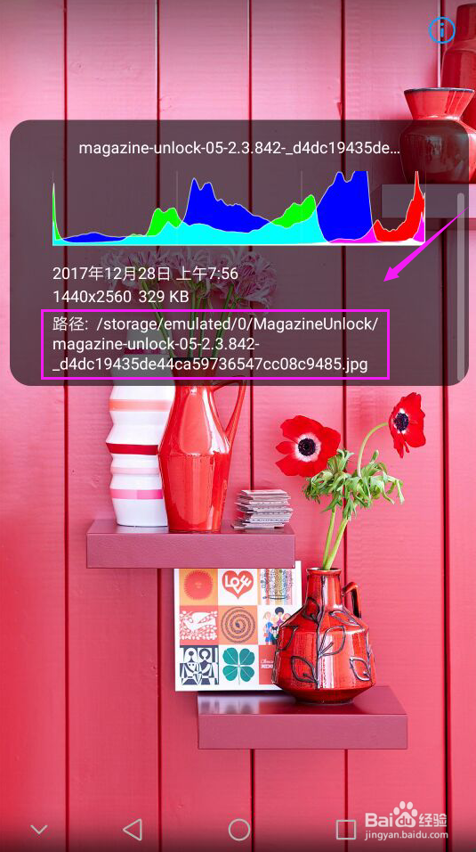 手机图片保存在哪个文件夹下？