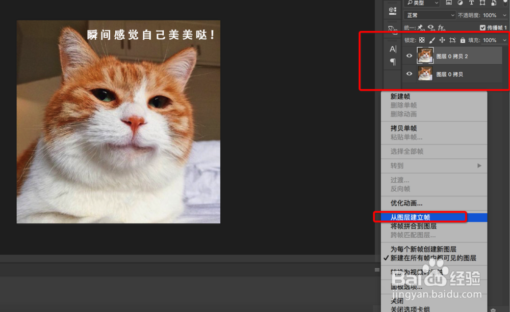 怎么用PS做动态表情