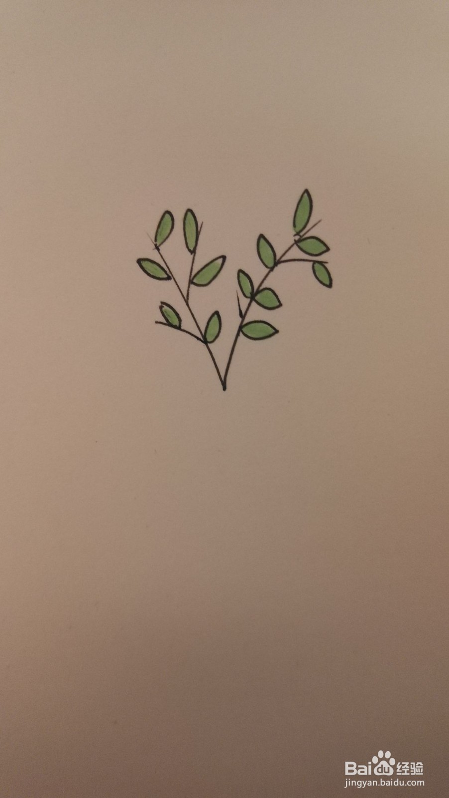小草简笔画之画法四十八