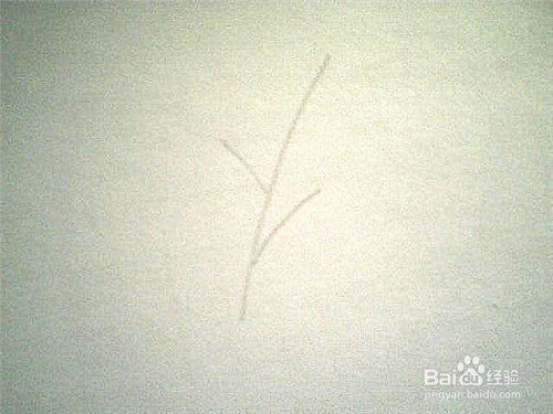 简笔画好看的叶子: