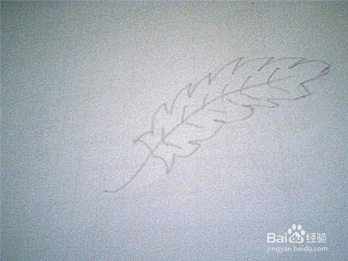 简笔画 叶子的画法