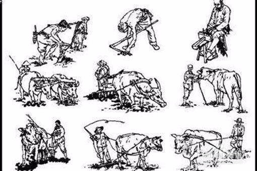 为什么古代没有土地的农民不自己开荒