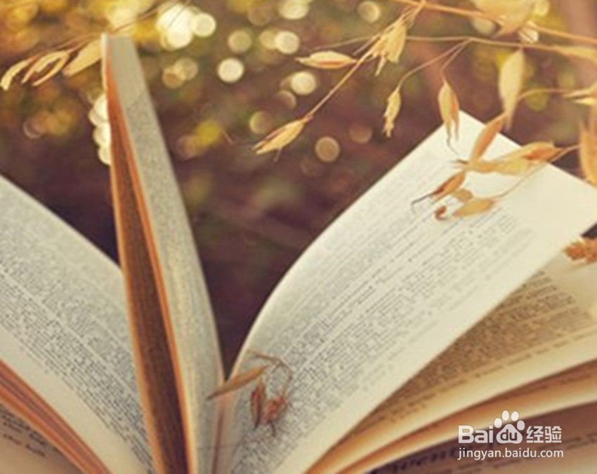 怎样做高考小说阅读题？