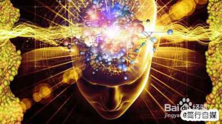 毒瘾难戒、减肥难做，大脑系统是如何控制你的行为？