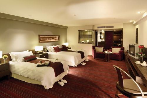 小长假慎防4大室内空气污染