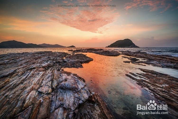 经济信息资源开发与利用：[26]复习总结二十六