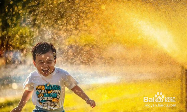 拍摄人像，都可以利用哪些景物作为前景？
