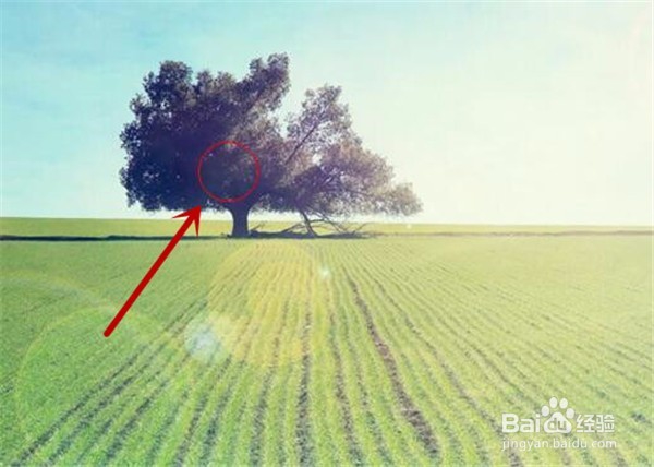 美图秀秀如何打马赛克