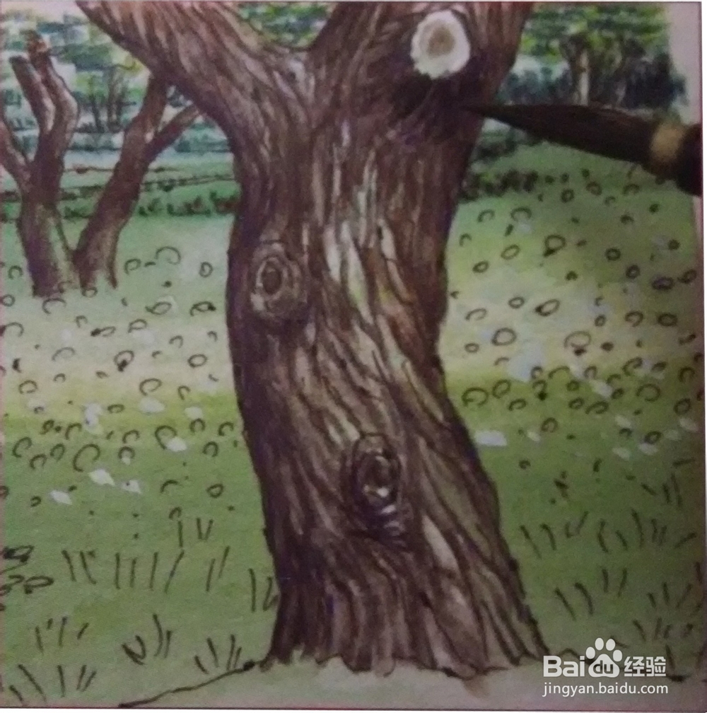 花草树木风景的画法