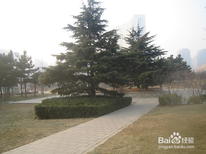 人在外出的时候要怎样安全出行