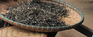 天热吃这些食物防病降温