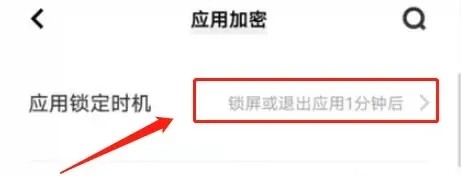 vivos11手机应用锁定时机在哪设置