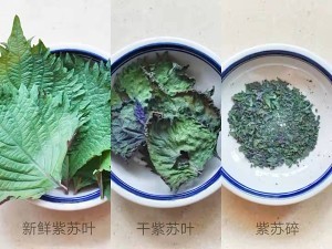 怎么做吮指盐烤虾？