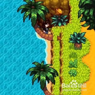 星露谷物语中金核桃如何获取