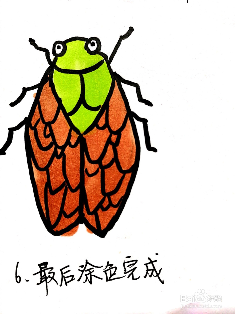 《生活中常见的昆虫》系列之蝉(知了)简笔画