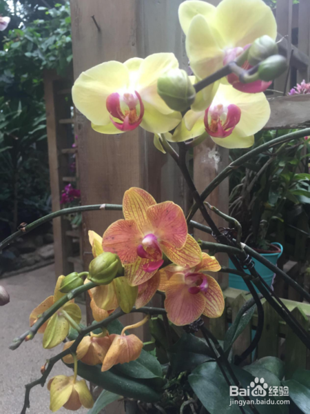 重庆三日游攻略,请不要错过舌尖上的重庆