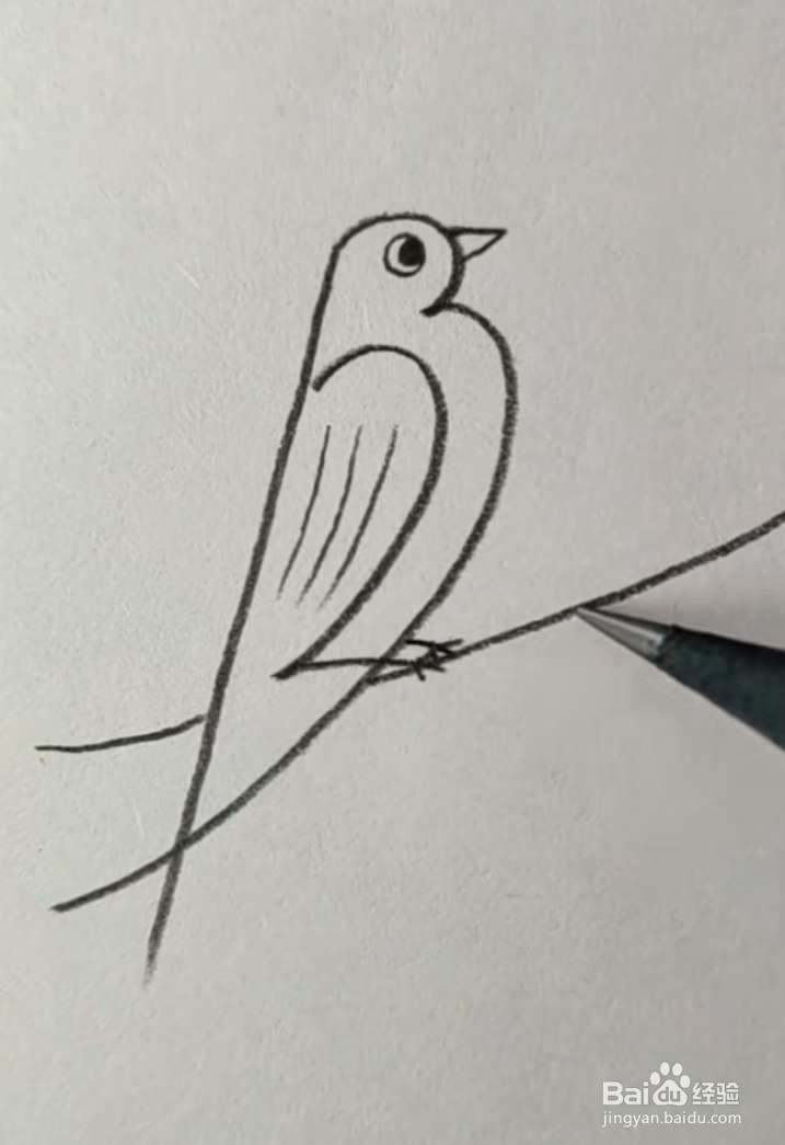 #我来了#简笔画小鸟怎么画？