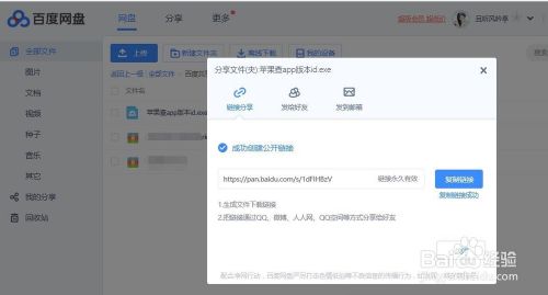 iPhone查询苹果商店apple store新旧版本app的ID