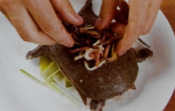 盛夏肥美时节——清蒸甲鱼