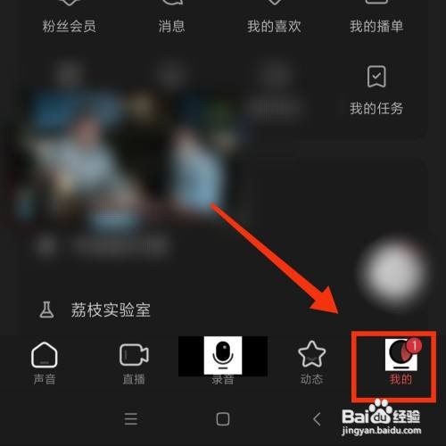 荔枝APP在哪开启免打扰模式