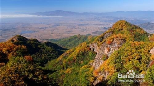 如何得到女孩的芳心?