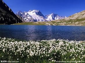 国外的情人节竟然是这个样子